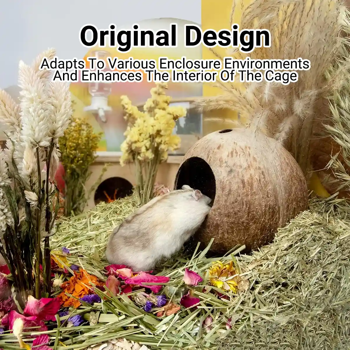 Coconut Hamster Cage Natural Hideout for Small Pets - Image 8