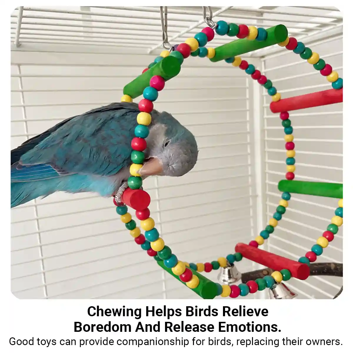 Colorful Wooden Bird Swing with Bells for Bird Cage - Image 6