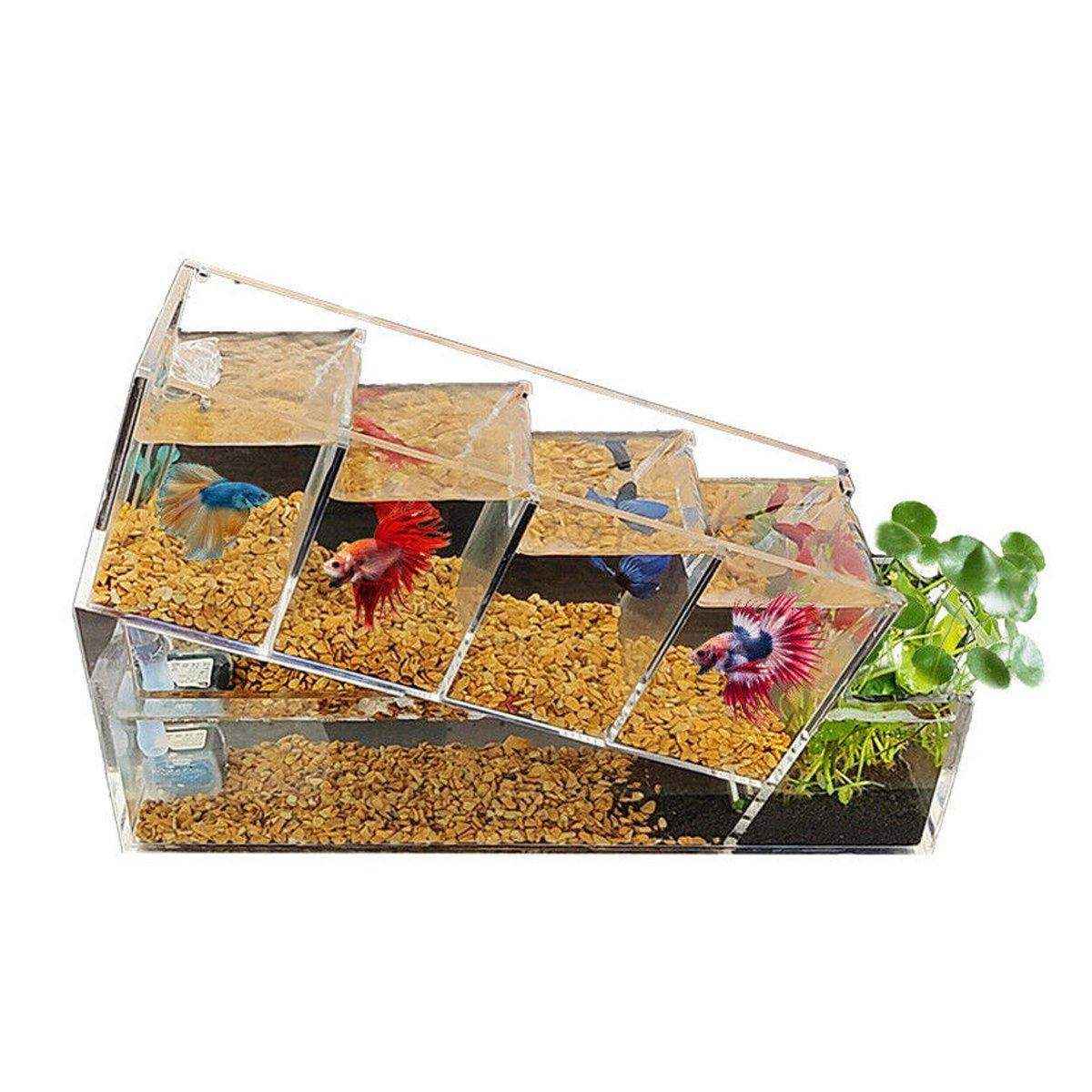 Compact Multi-Cell Desktop Fish Tank with Filtration System - Image 3