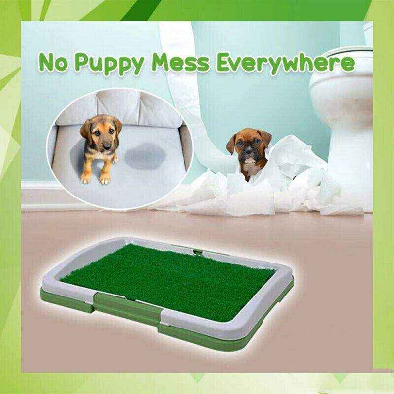 Convenient Puppy Pee Pads for Easy Potty Training 47*34*6cm - Image 11