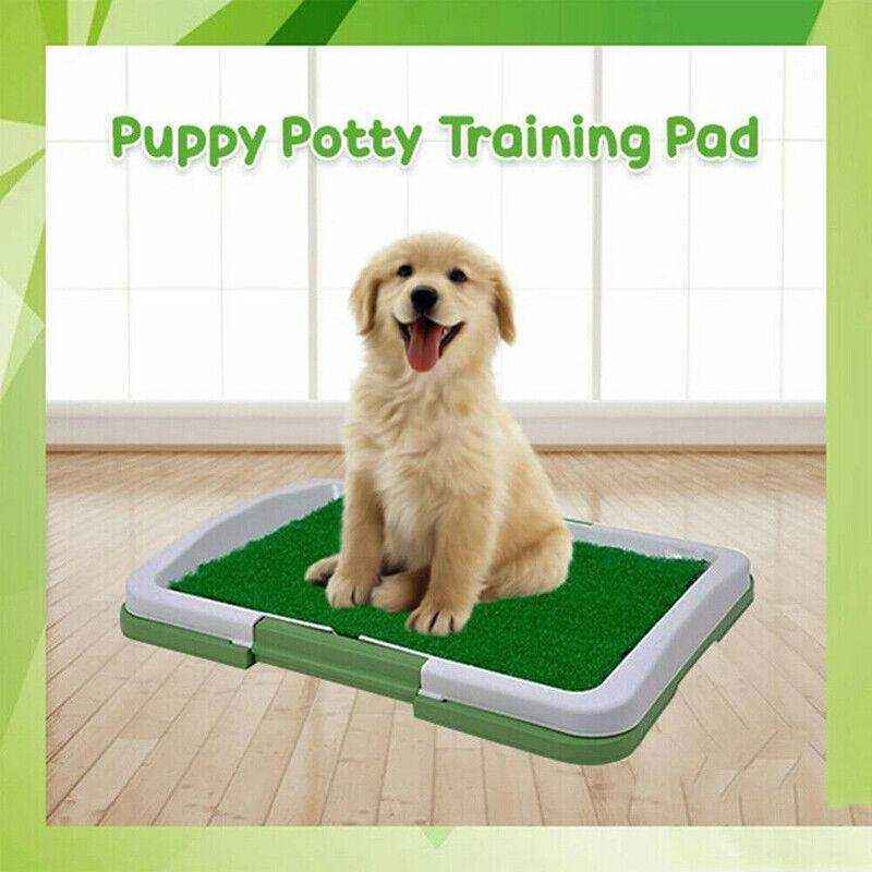 Convenient Puppy Pee Pads for Easy Potty Training 47*34*6cm - Image 12