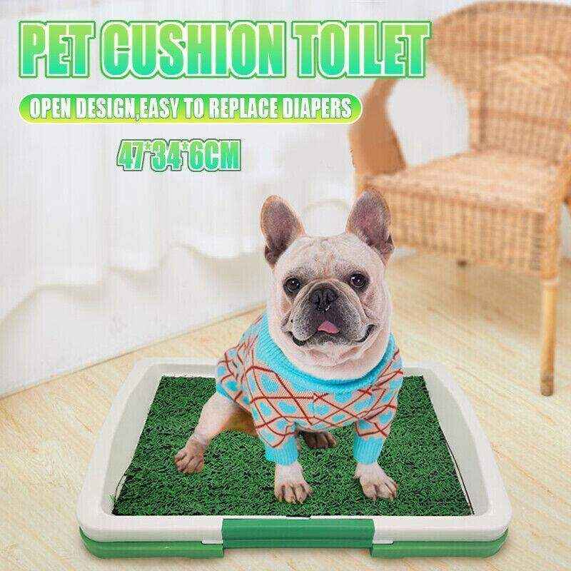 Convenient Puppy Pee Pads for Easy Potty Training 47*34*6cm - Image 3