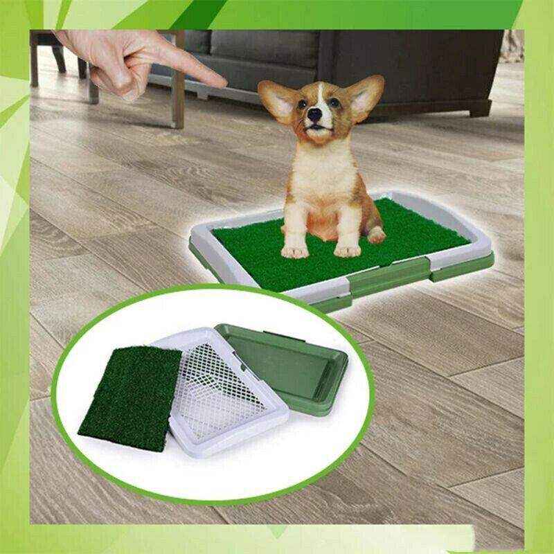 Convenient Puppy Pee Pads for Easy Potty Training 47*34*6cm - Image 4