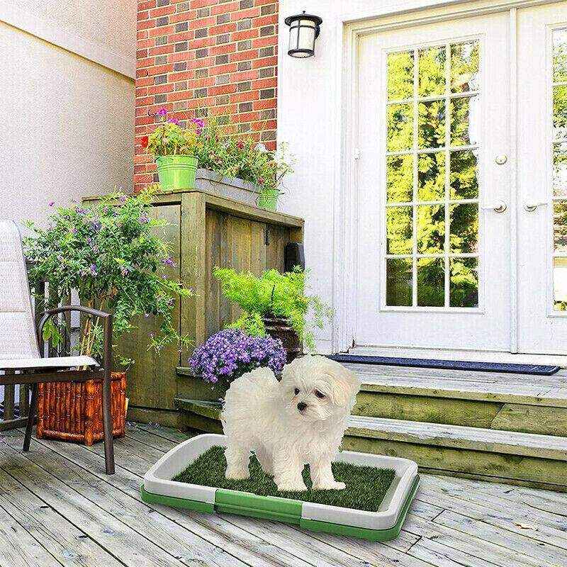 Convenient Puppy Pee Pads for Easy Potty Training 47*34*6cm - Image 5