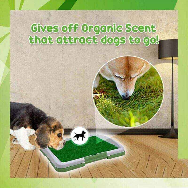 Convenient Puppy Pee Pads for Easy Potty Training 47*34*6cm - Image 6