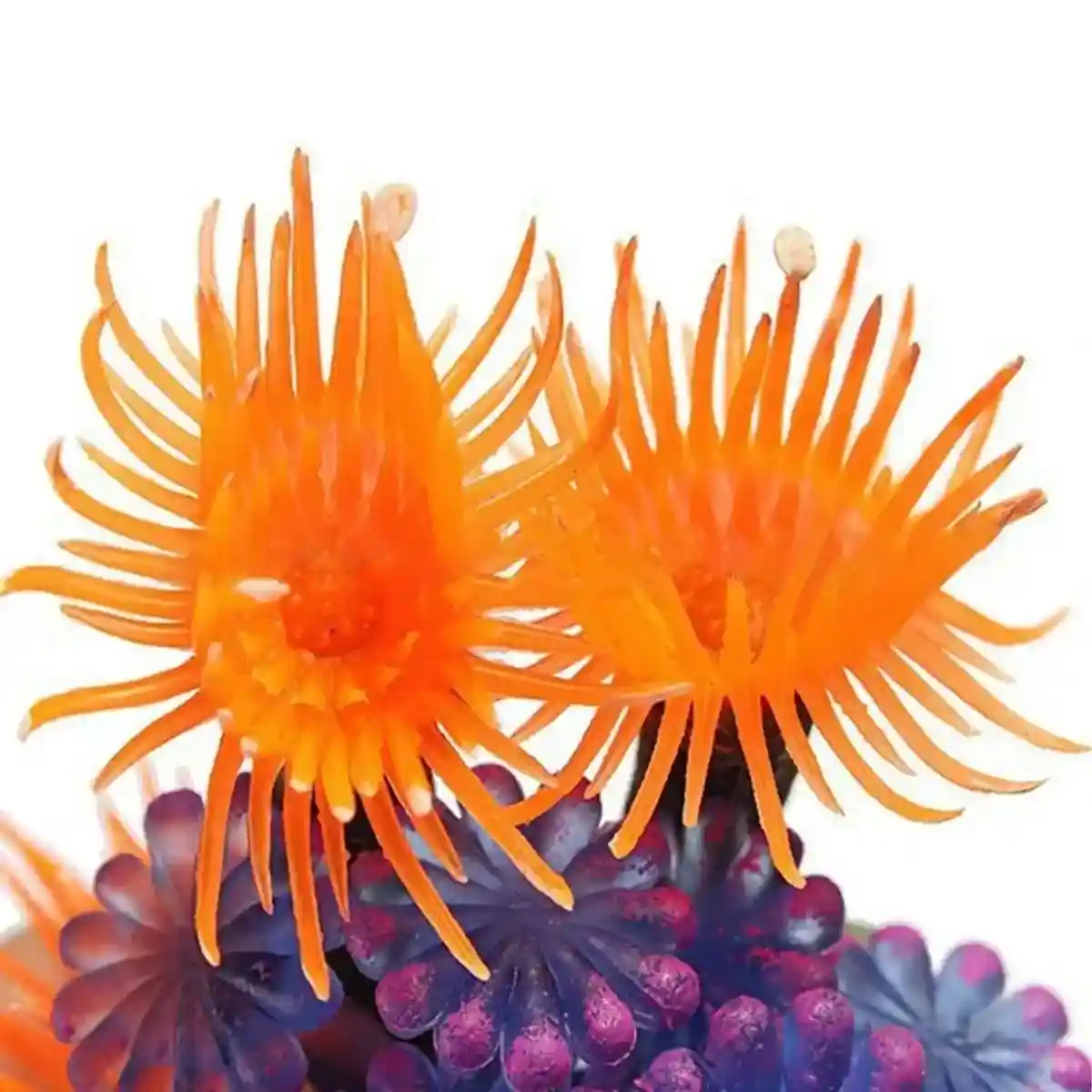 Vibrant Coral Aquarium Decoration Realistic Artificial Anemone for Tanks - Image 5