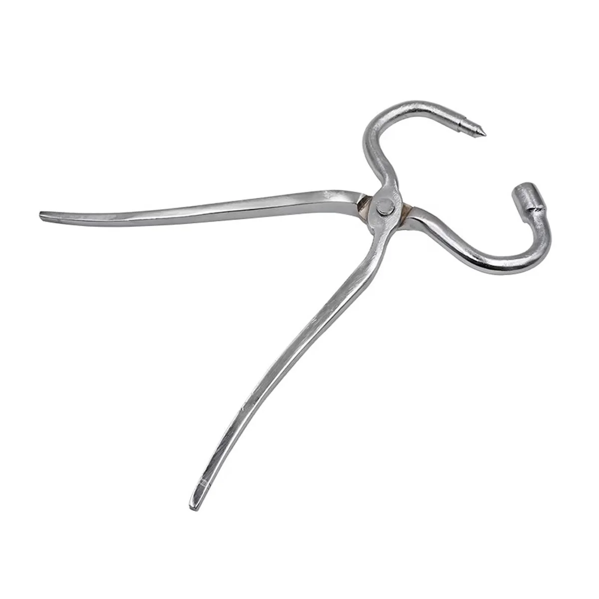 Cow Nose Piercing Pliers - Image 2