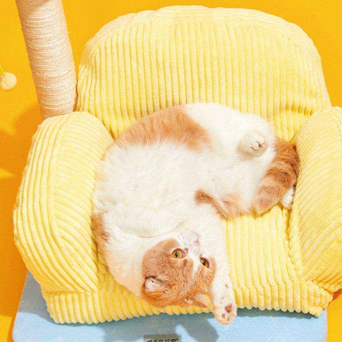 Cozy Cute Sofa Cat Lounge with Scratch Post - Image 10