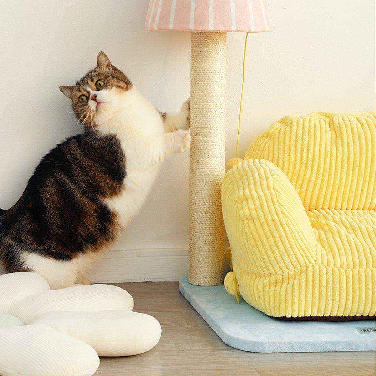 Cozy Cute Sofa Cat Lounge with Scratch Post - Image 6