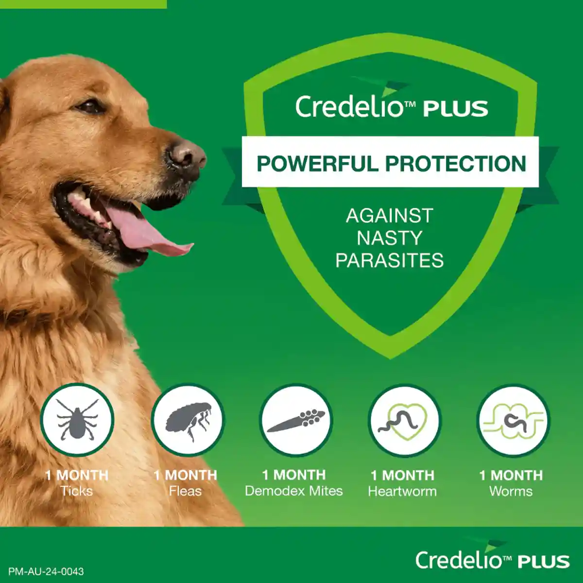 Credelio Plus Chewable Tablets For Large Dogs 11.1-22kg - Image 10