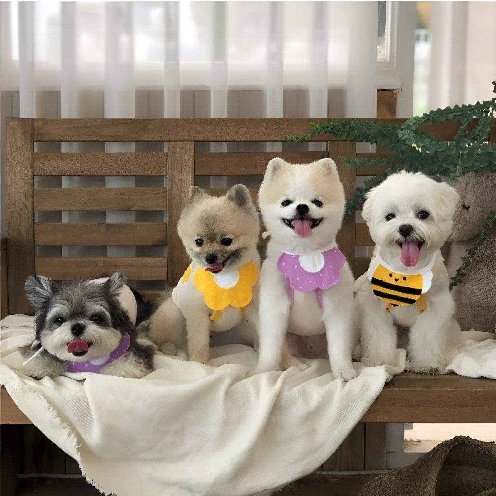 Adorable Dog Bibs with Flower & Bee Design for Stylish Pets - Image 10