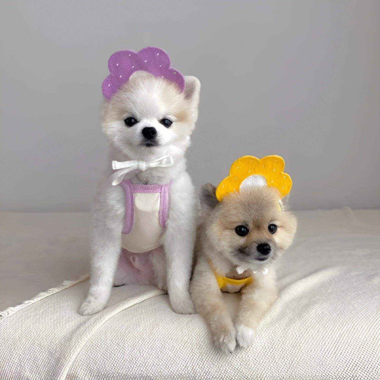 Adorable Dog Bibs with Flower & Bee Design for Stylish Pets - Image 4