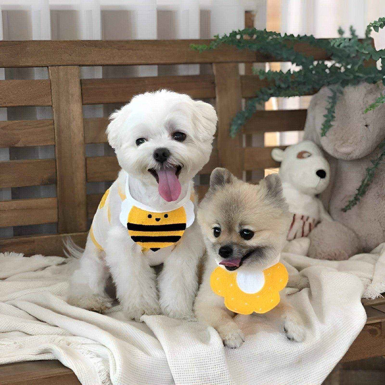 Adorable Dog Bibs with Flower & Bee Design for Stylish Pets - Image 6