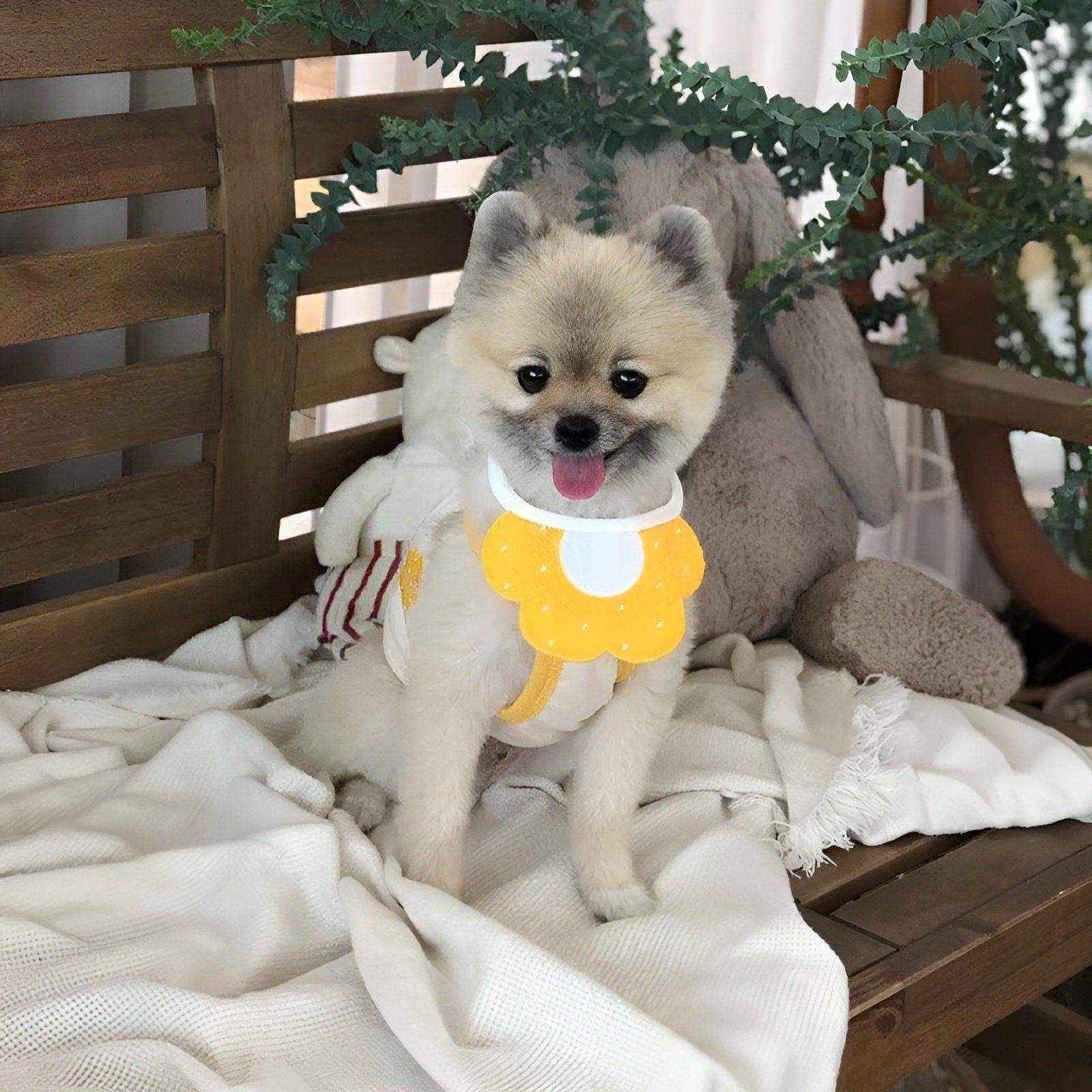 Adorable Dog Bibs with Flower & Bee Design for Stylish Pets - Image 8