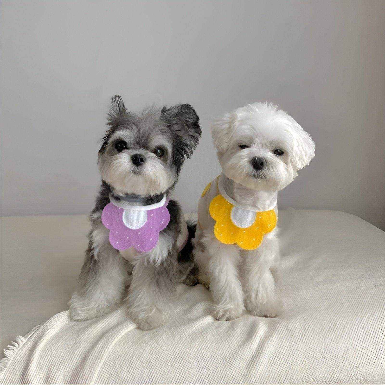Adorable Dog Bibs with Flower & Bee Design for Stylish Pets - Image 9