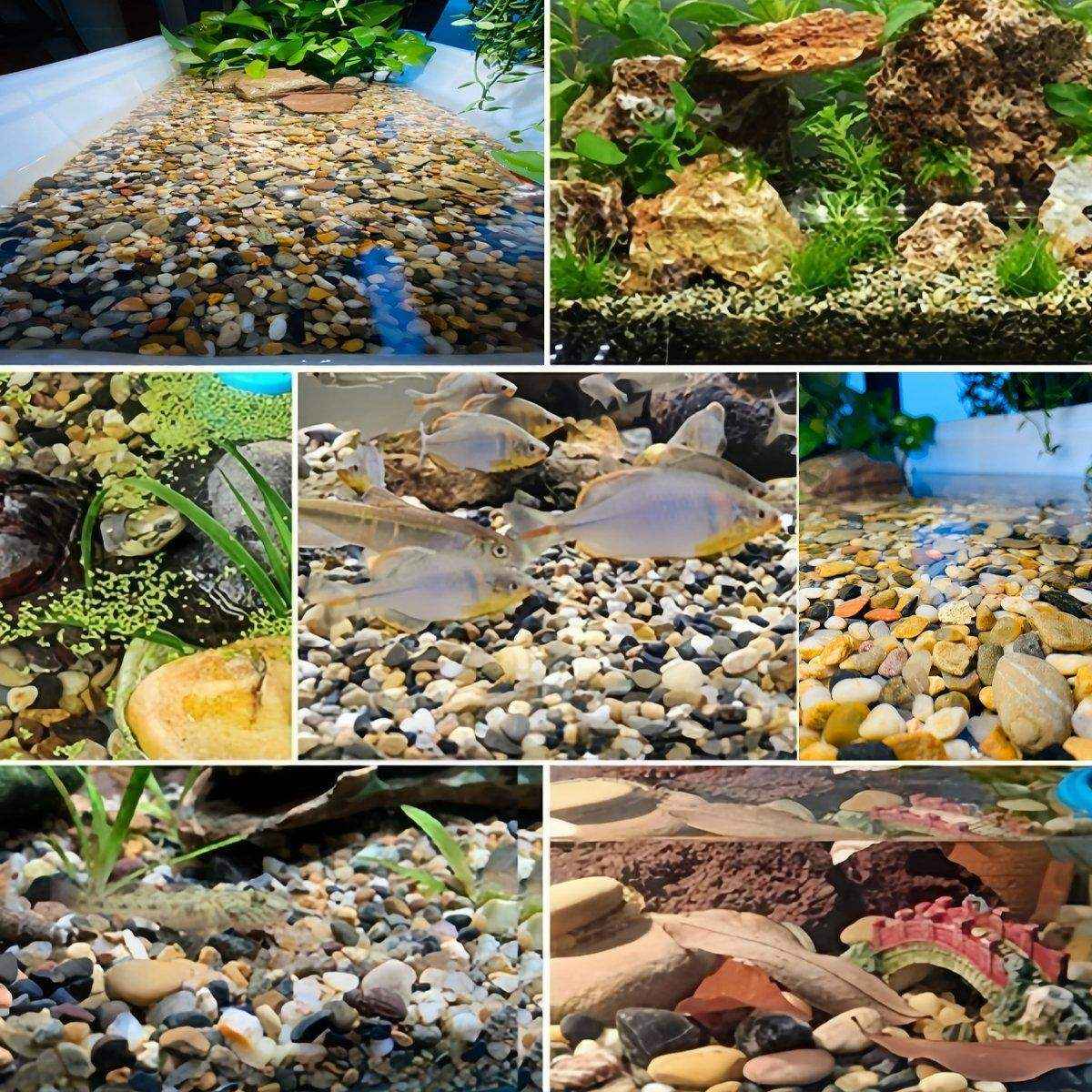 Fish Tank Bottom Sand Decorative Aquarium Stones for Freshwater & Saltwater - Image 10