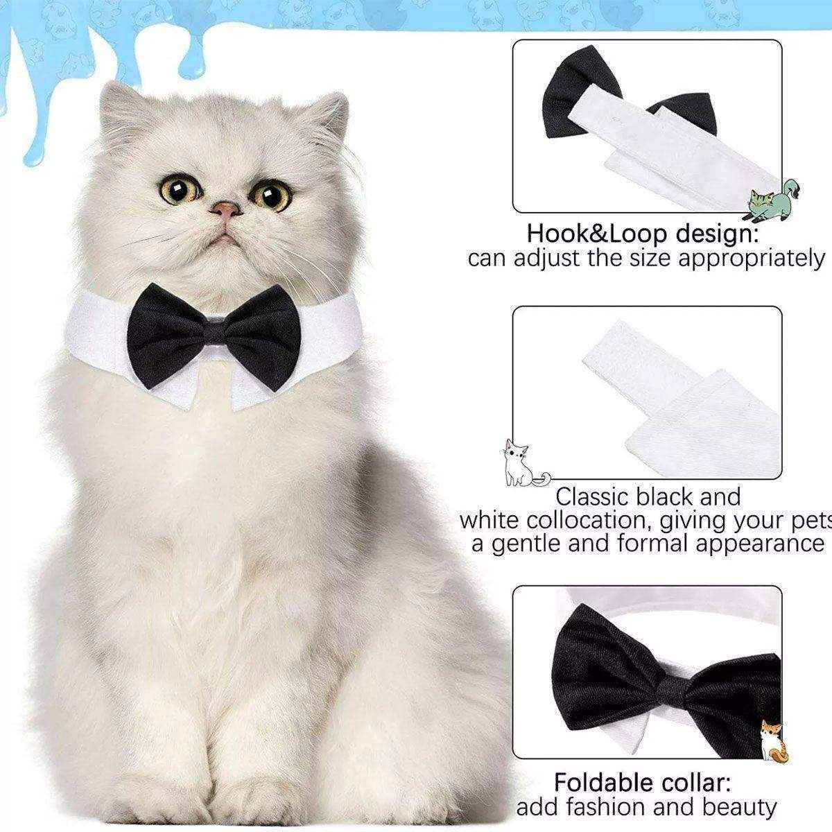 Designer Dog Collars & Designer Cat Collar Set Bow Tie and Necktie Design - Image 12