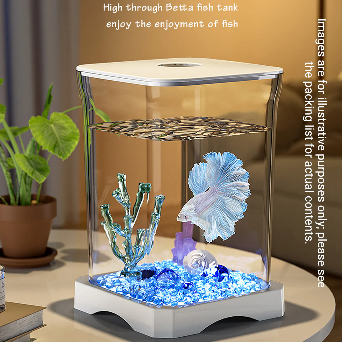 Desktop Fish Tank With LED Light - Image 8