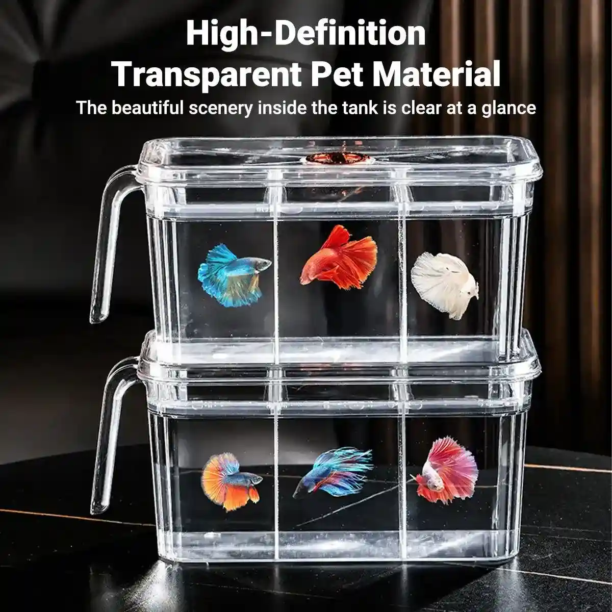 Desktop Fish Tank with Three-Division Design Compact & Stylish Aquarium - Image 13