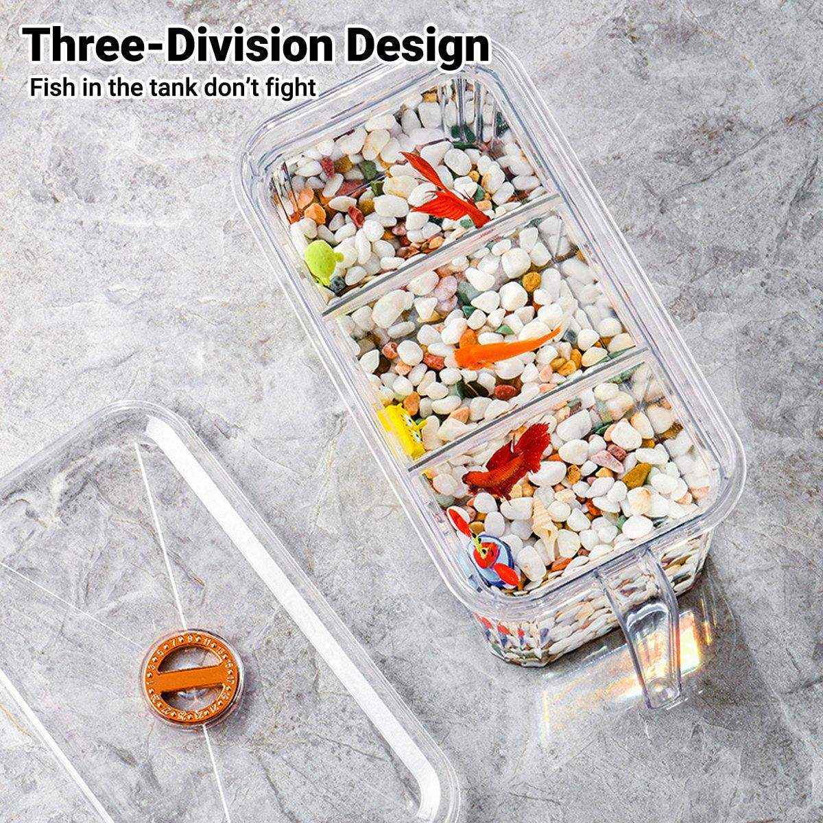 Desktop Fish Tank with Three-Division Design Compact & Stylish Aquarium - Image 5