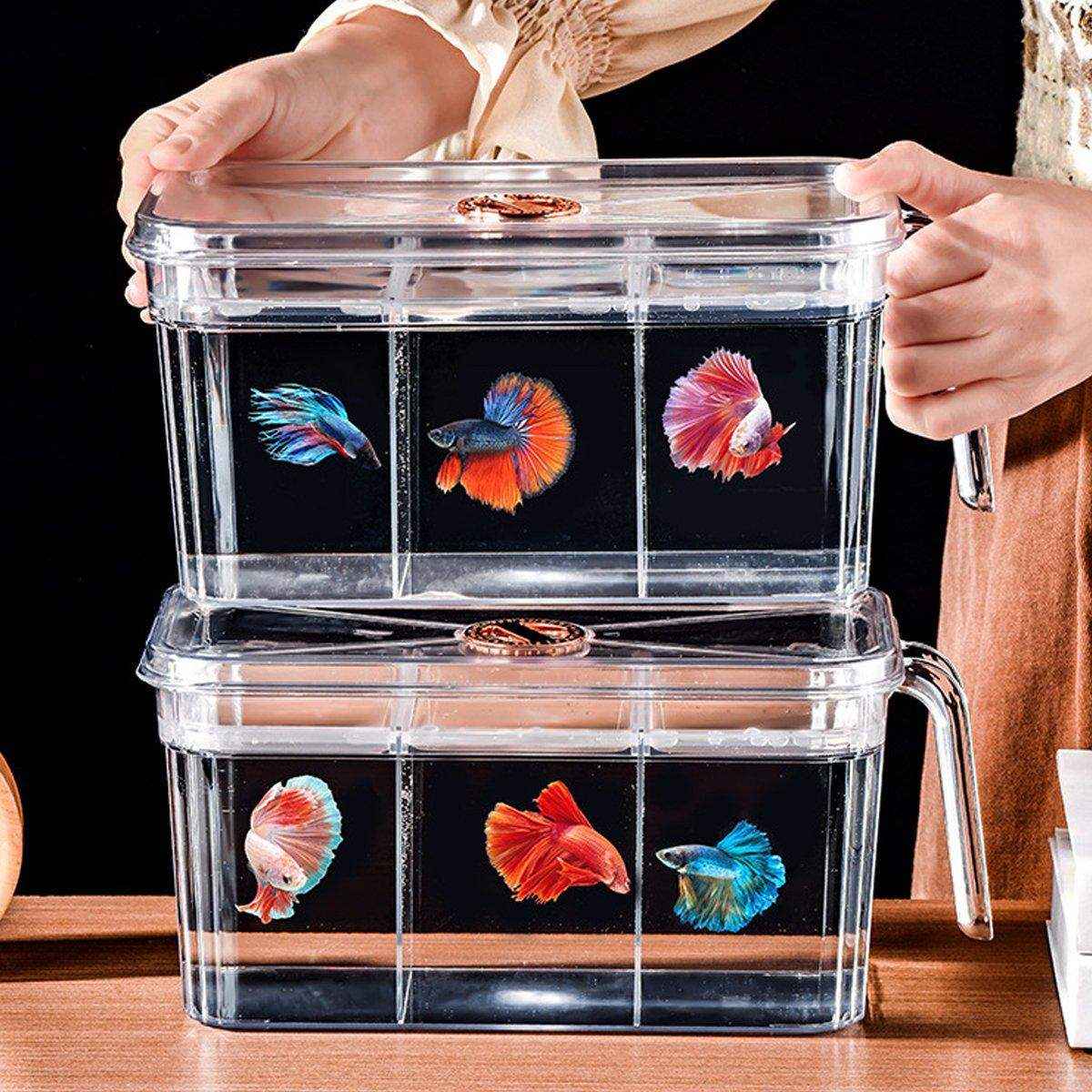 Desktop Fish Tank with Three-Division Design Compact & Stylish Aquarium - Image 9