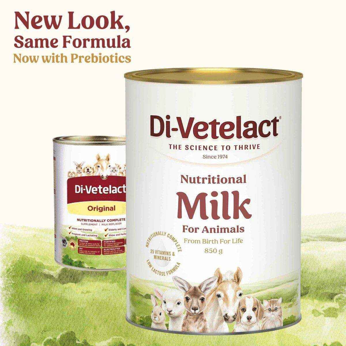 Di-Vetelact - Nutritional Milk 375g/850g - Image 7