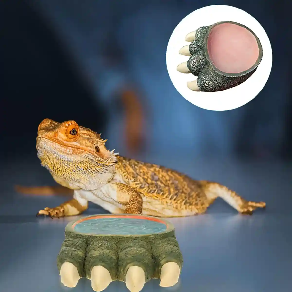 Dinosaur Claw Reptile Water Dish - Image 12
