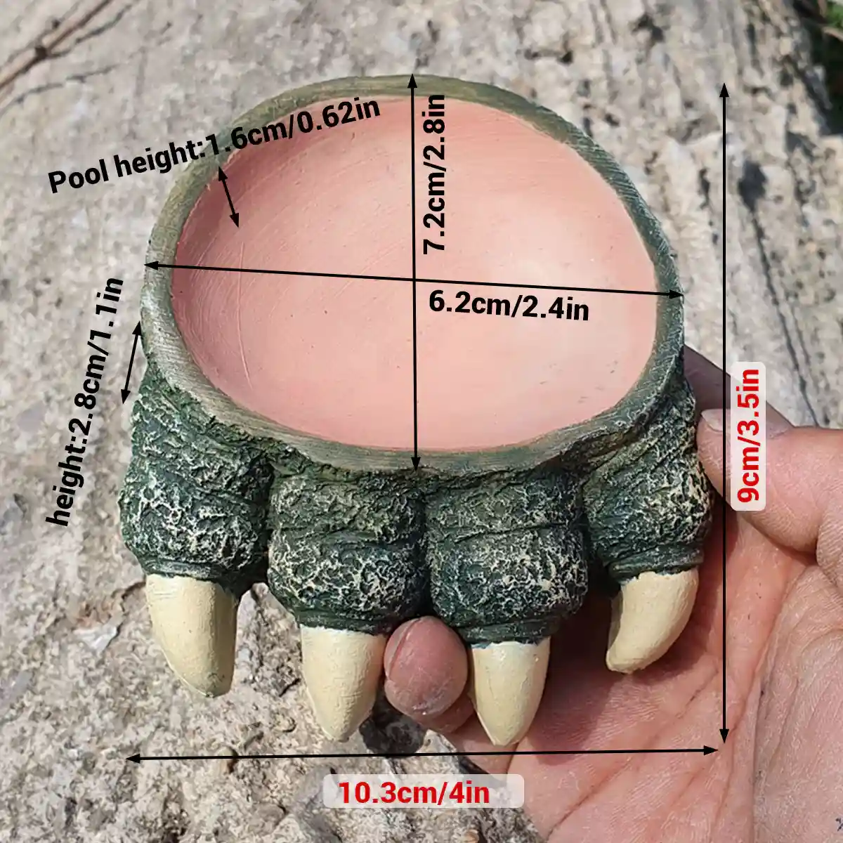 Dinosaur Claw Reptile Water Dish - Image 3