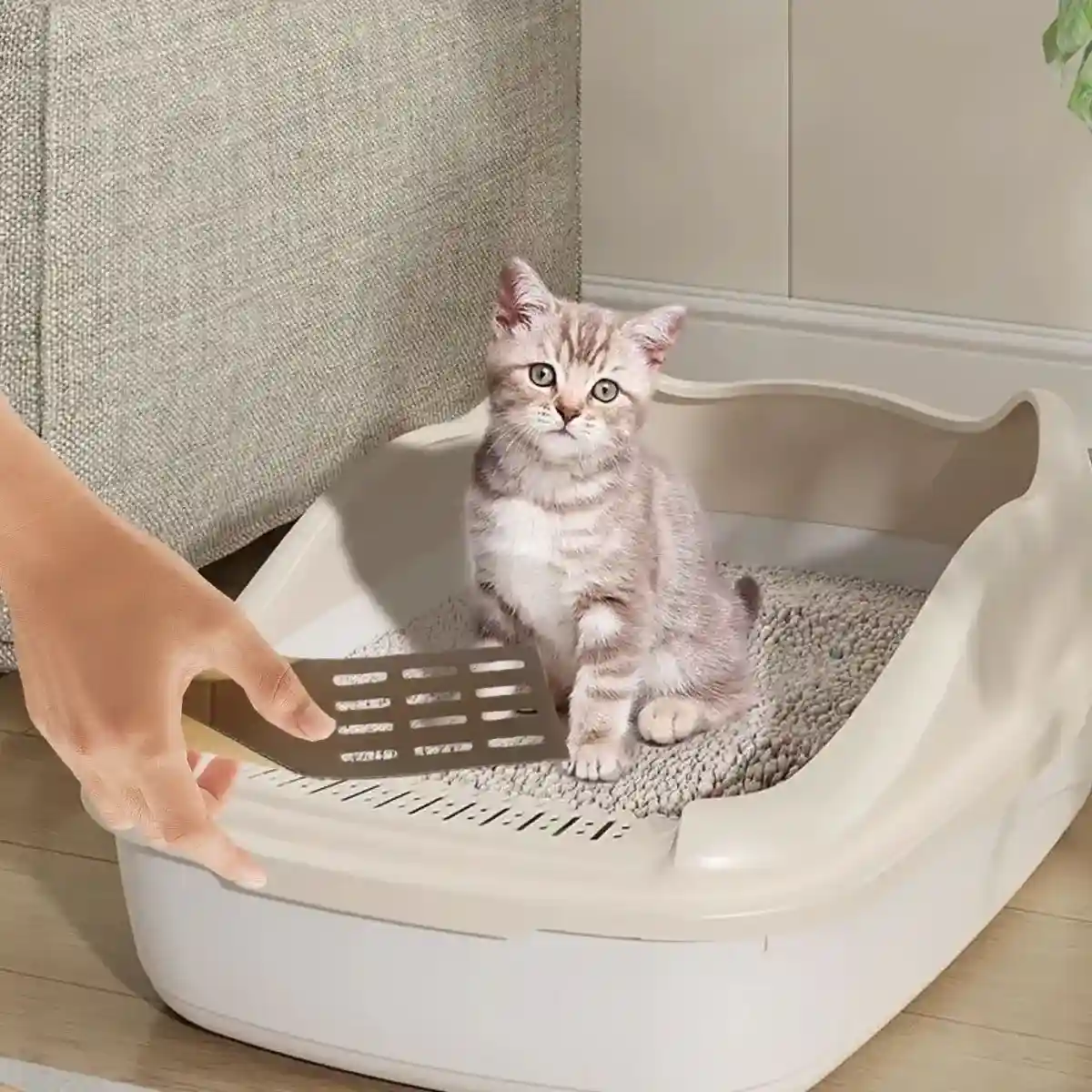 20PCS Disposable Cat Litter Scoops Biodegradable Cardboard Design - Image 11