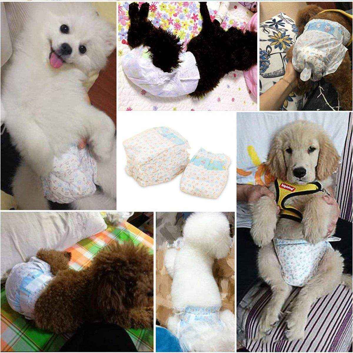 Dog Pet Diaper Physiological Pants Safety Underwear for Puppy Incontinence - Image 13