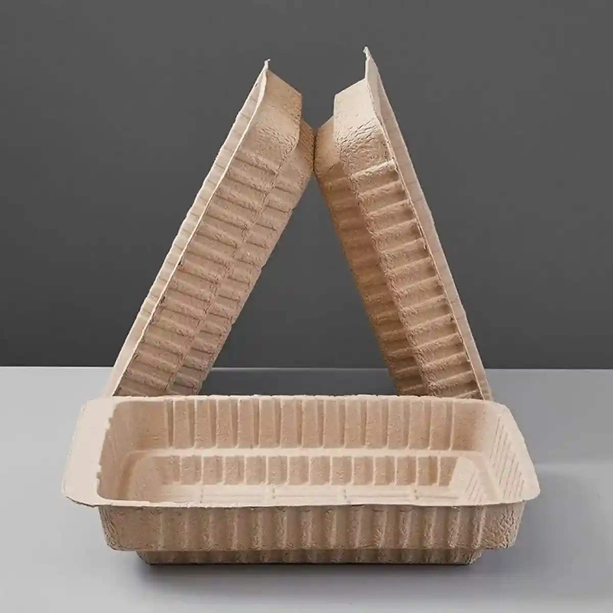 Eco-Friendly Cat Set with Disposable Litter Tray and Feeding Bowls - Image 11