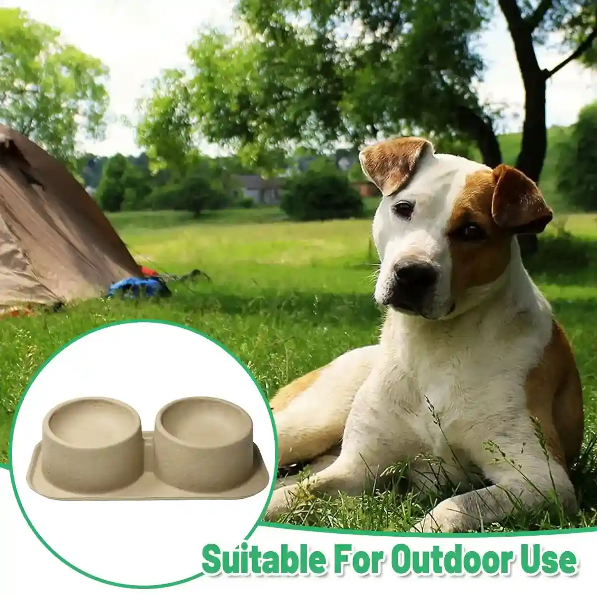 10PCS Disposable Pet Double Bowl Set Biodegradable with Tilt Design - Image 10