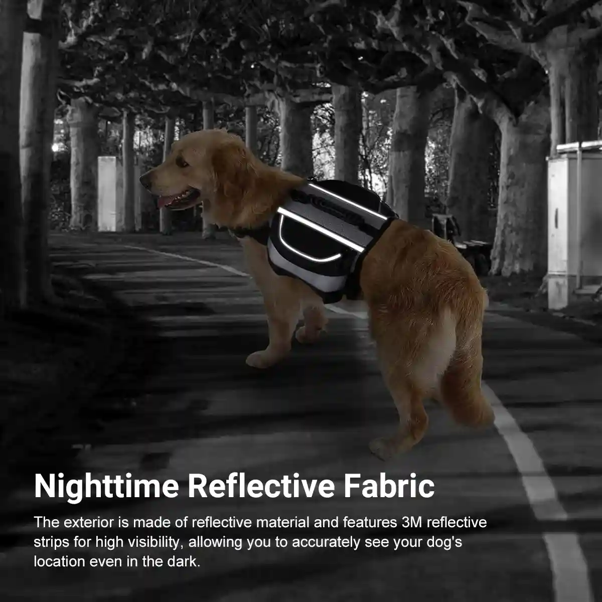 Dog Backpack Harness For Travel and Outdoor - Image 8