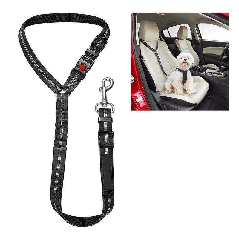 Pet Car Seat Belt Elastic 4 Colours