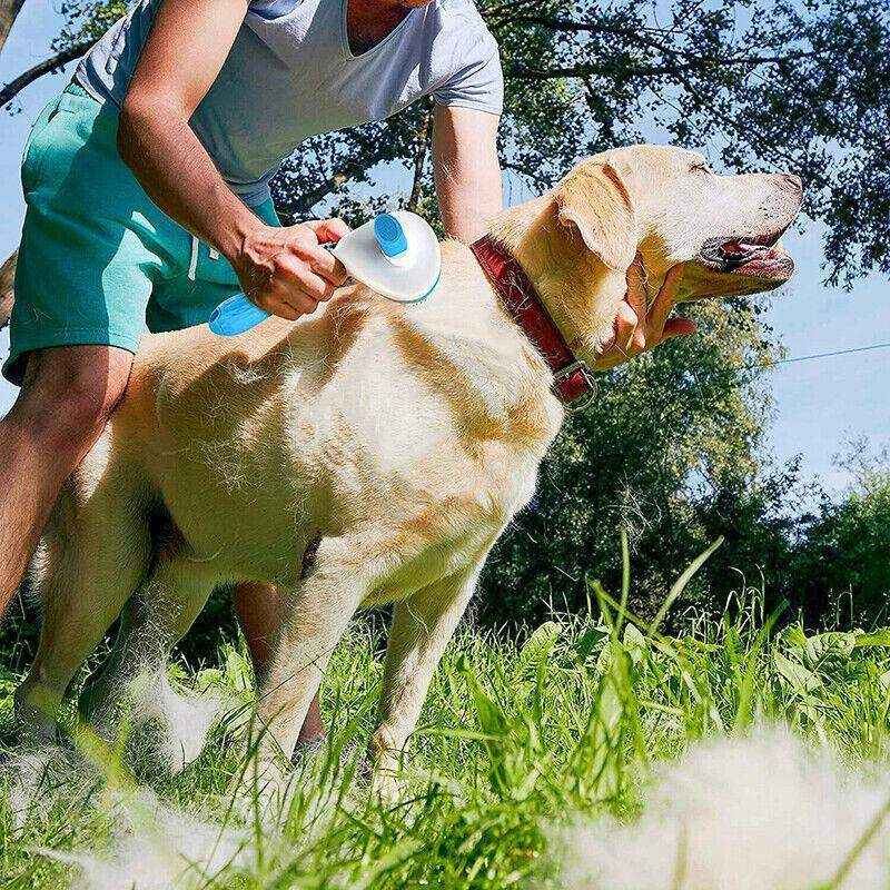Dog and Cat Deshedding Brush for Effective Grooming - Image 7