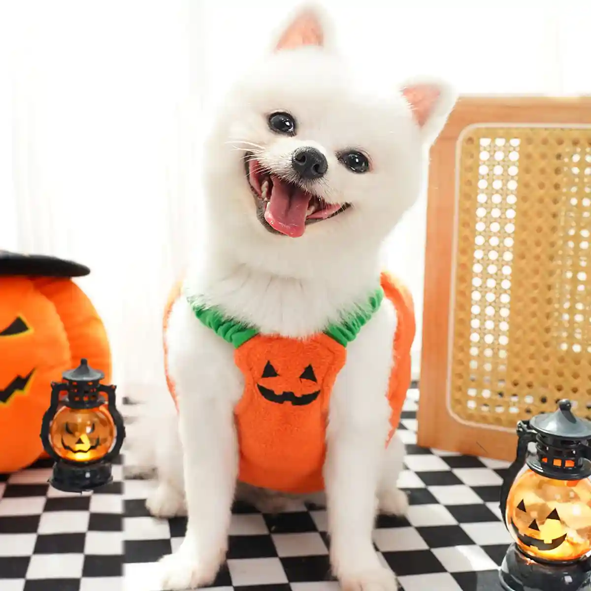 Dog Cat Pet Pumpkin Fancy Dress Outfits Halloween Xmas Cosplay Costume Clothes - Image 3