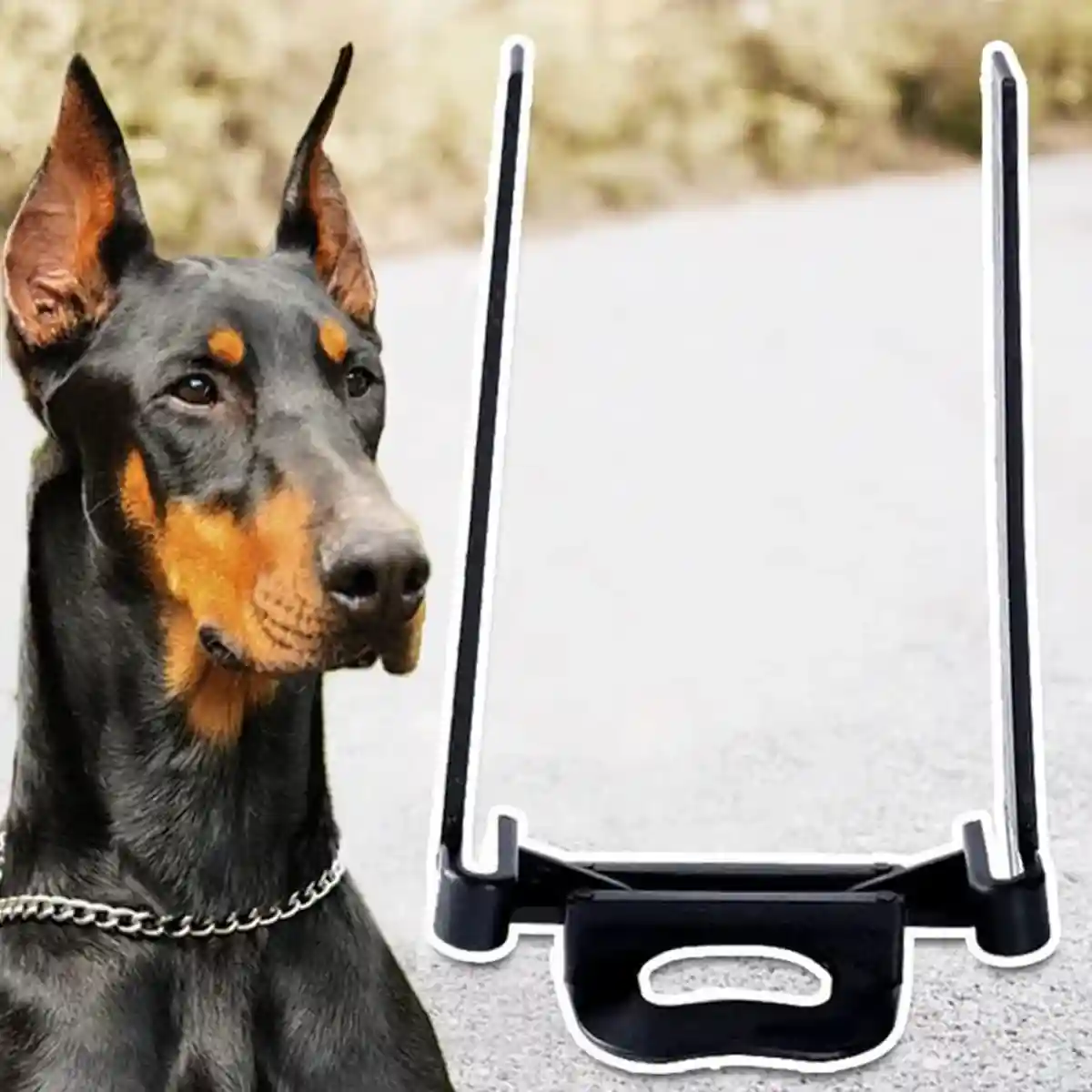 Dog Ear Support Stand Upright Ear Training Kit With Tape - Image 3
