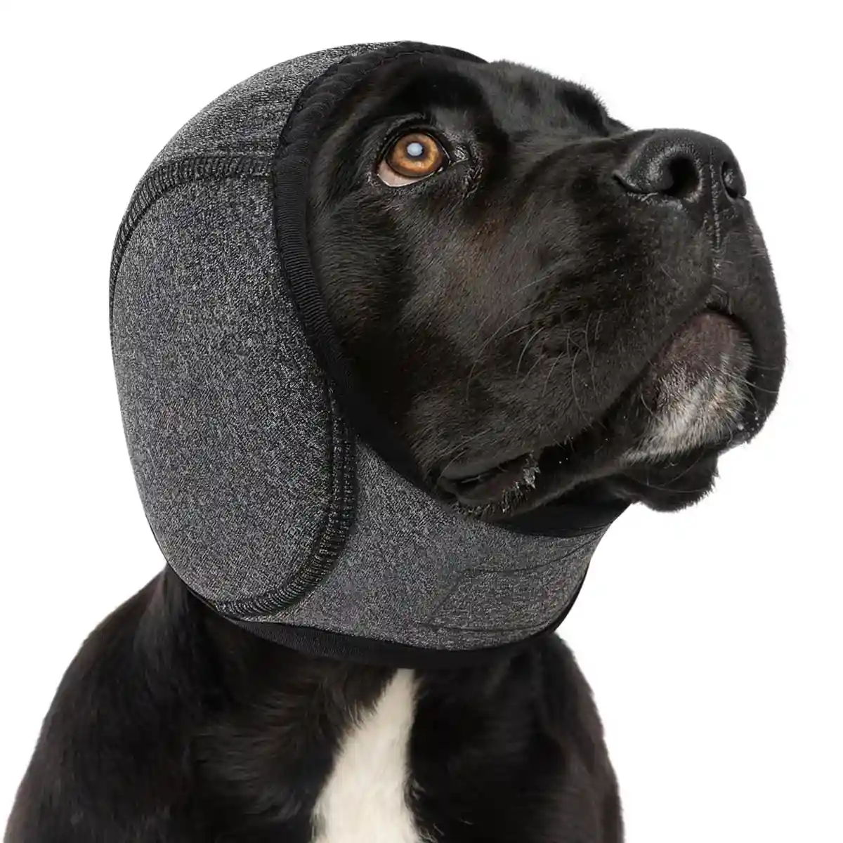 Dog Earmuffs Headgear Waterproof Noise-Reducing Comfort Hood - Image 12