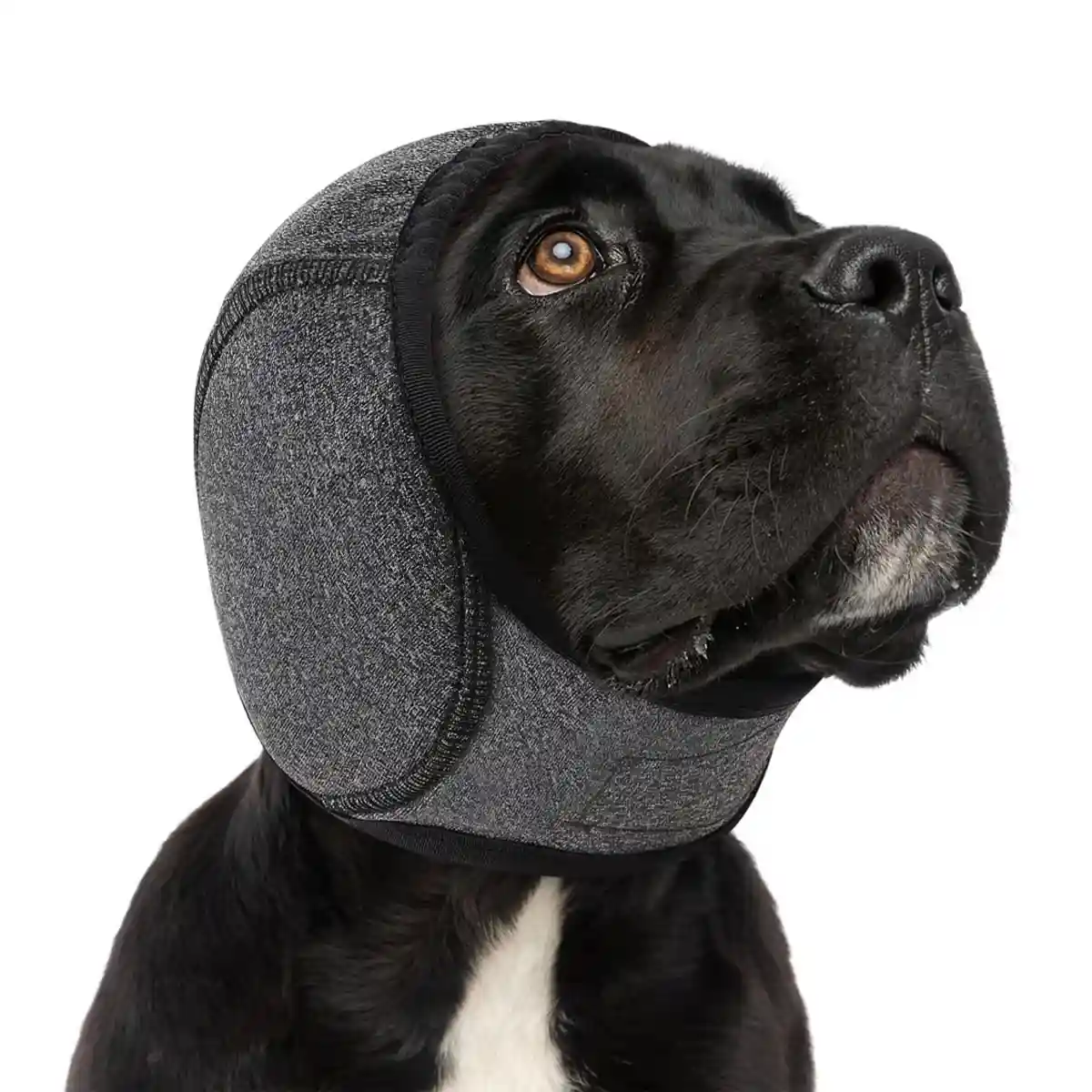Dog Earmuffs Headgear Waterproof Noise-Reducing Comfort Hood - Image 13