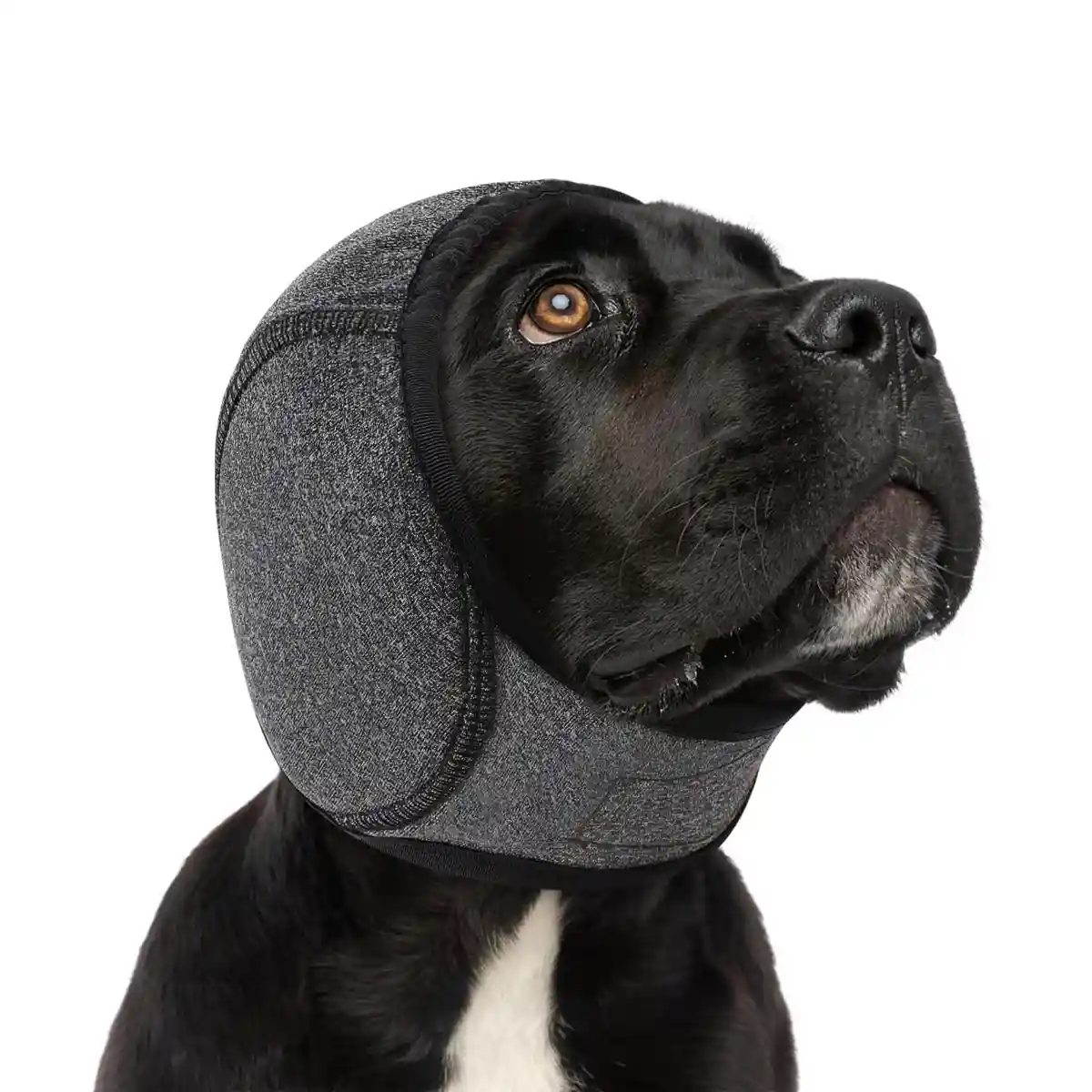 Dog Earmuffs Headgear Waterproof Noise-Reducing Comfort Hood - Image 14