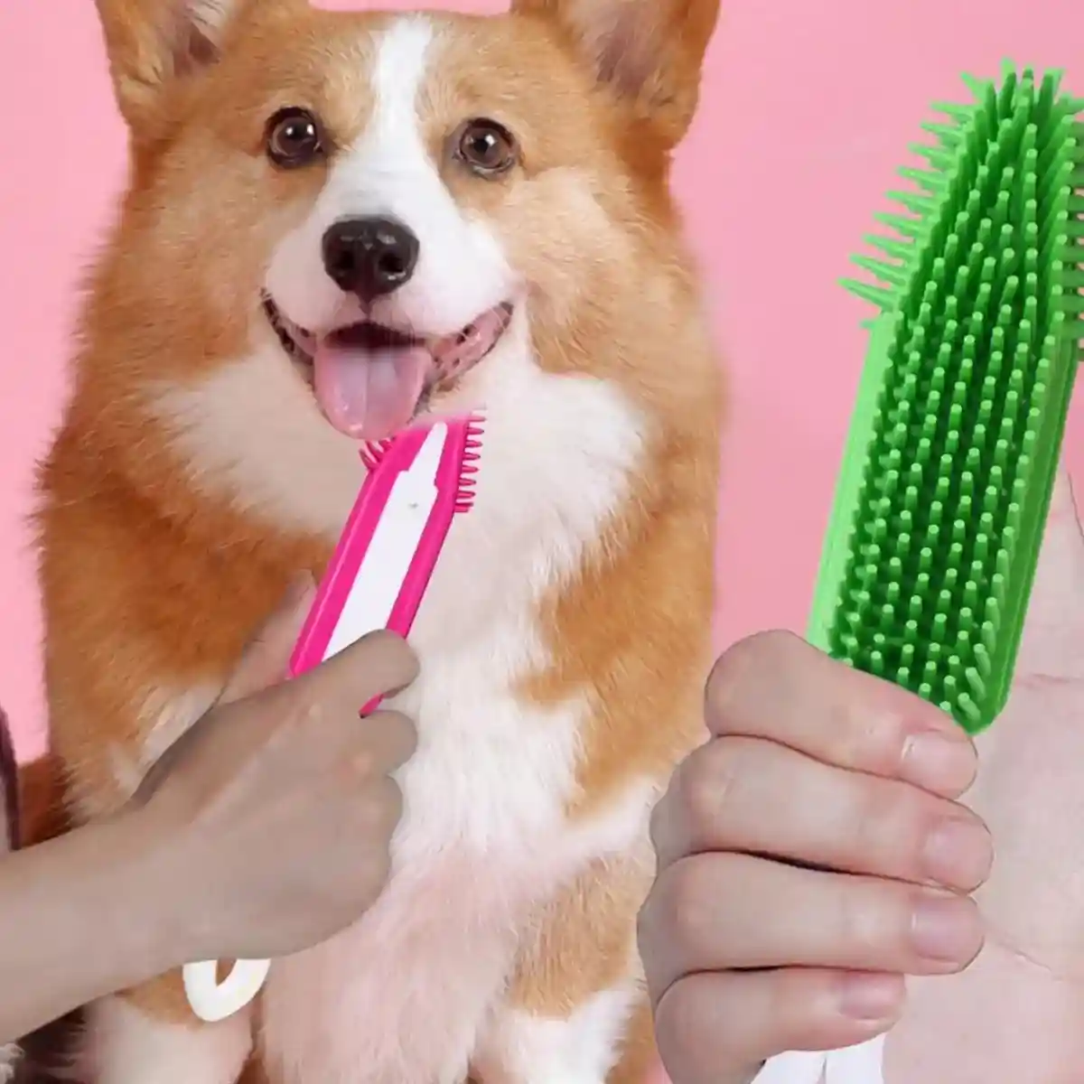 3pcs Dog Grooming Brush Set Soft Bristles for Easy Pet Care