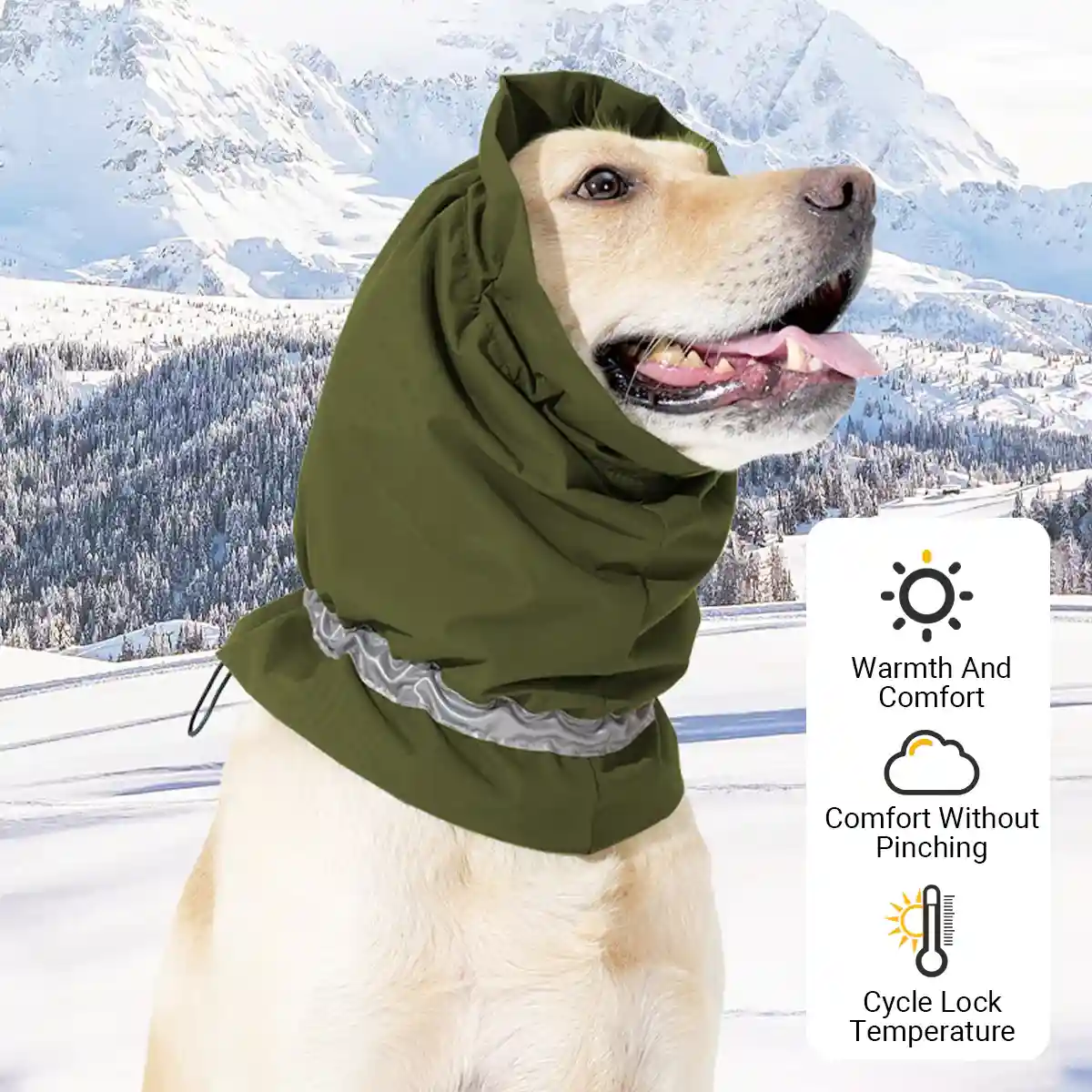 Dog Head Cover And Scarf Set Winter Warmth & Stress Relief Gear - Image 9
