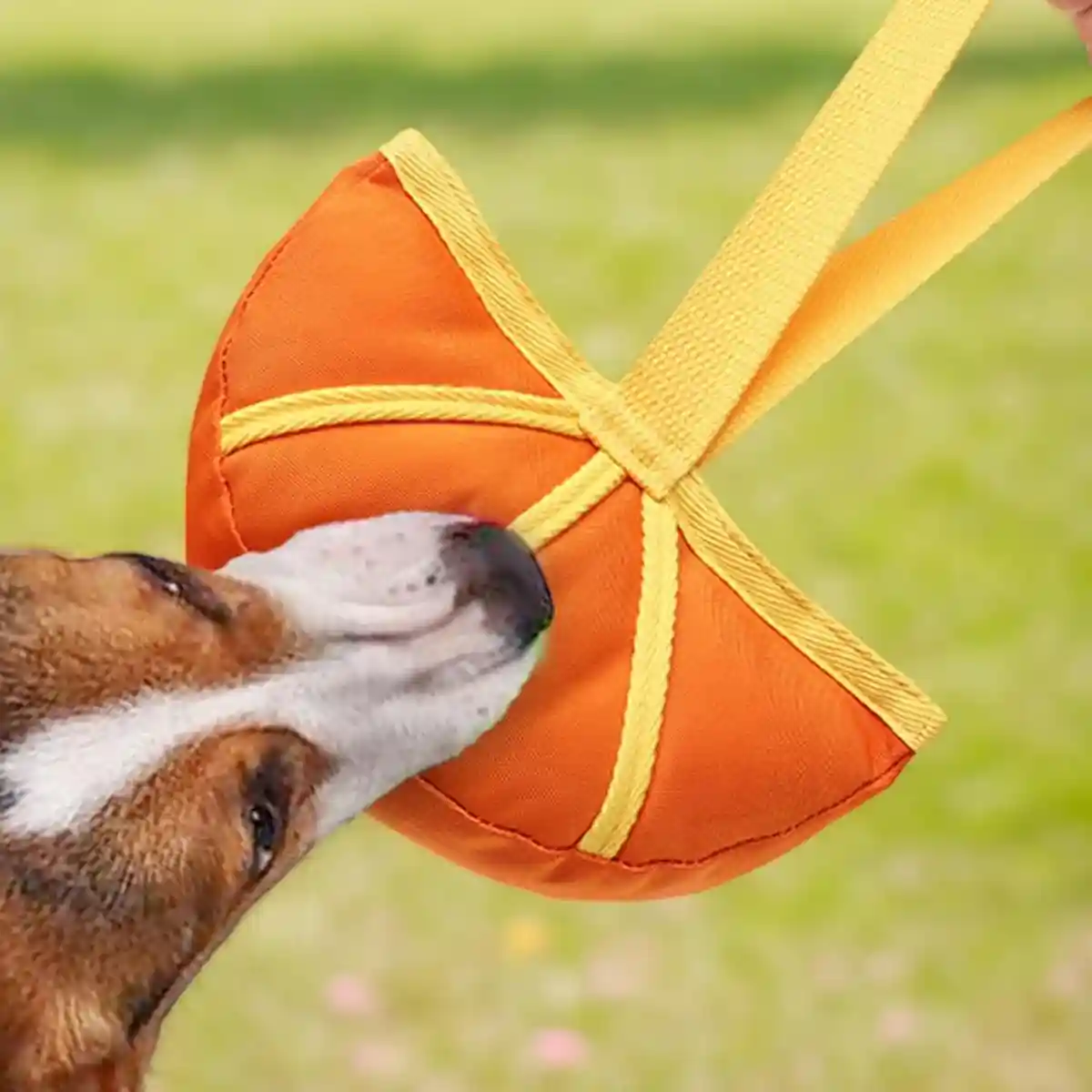 Dog Interactive Toy Durable Tug and Chew Toy - Image 11