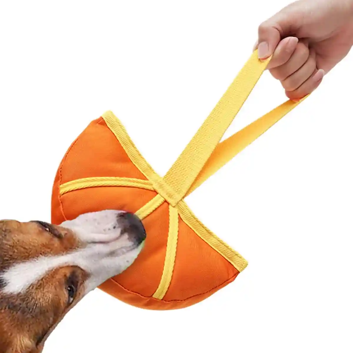 Dog Interactive Toy Durable Tug and Chew Toy - Image 3
