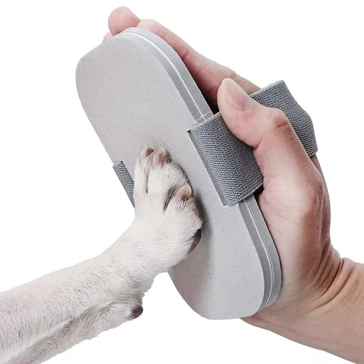 Dog Nail Scratcher Pet Paw Grinding Board for Easy Nail Trimming - Image 10