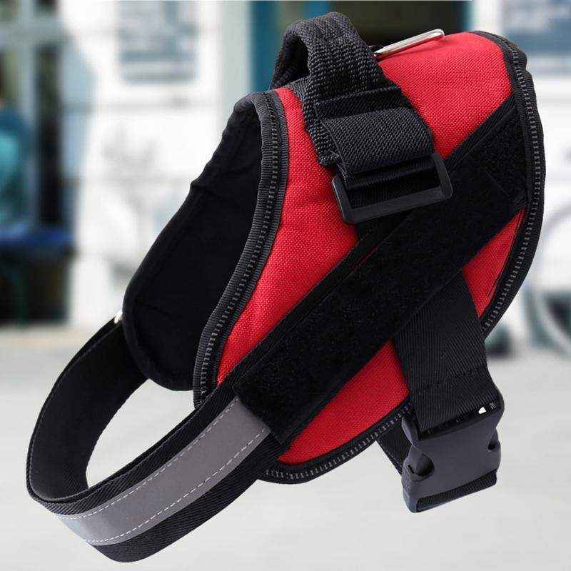 Adjustable No Pull Harness for Medium Dogs Comfortable & Breathable - Image 6