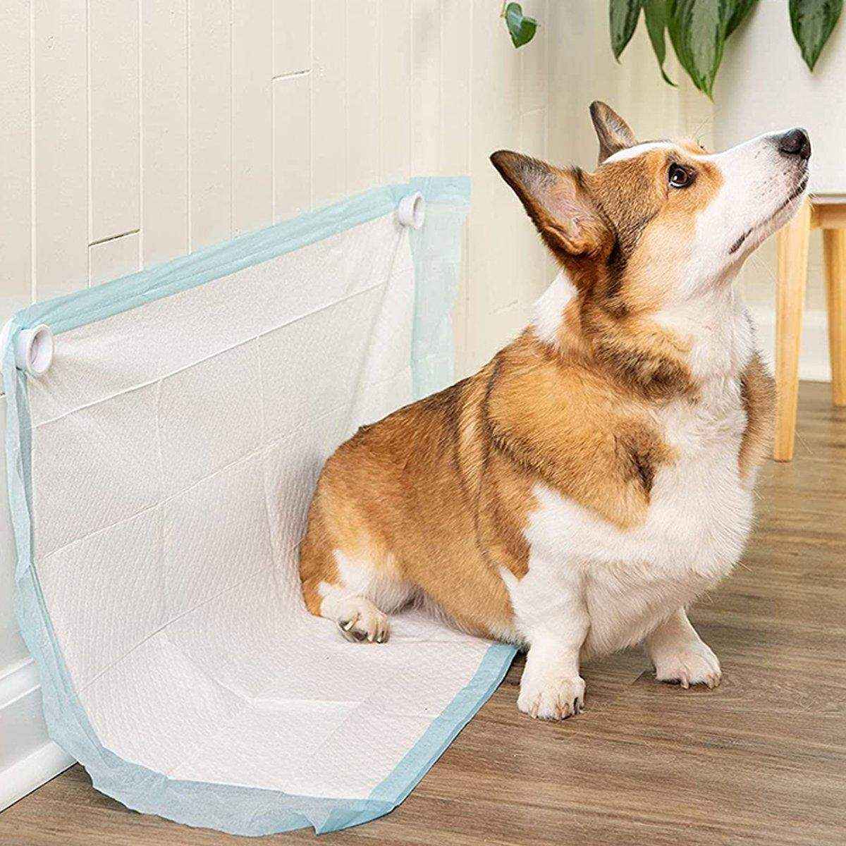 2pcs Dog Pee Pad Holder Wall-Mounted Pet Urine Pad Grip with Strong Adhesive Magnets - Image 6