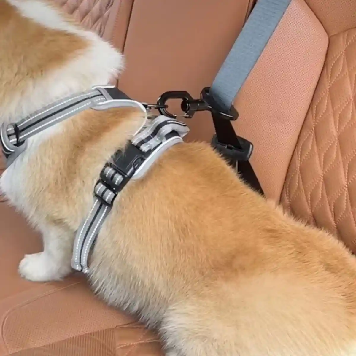 Dog Seat Belt Safety Buckle Harness - Image 13