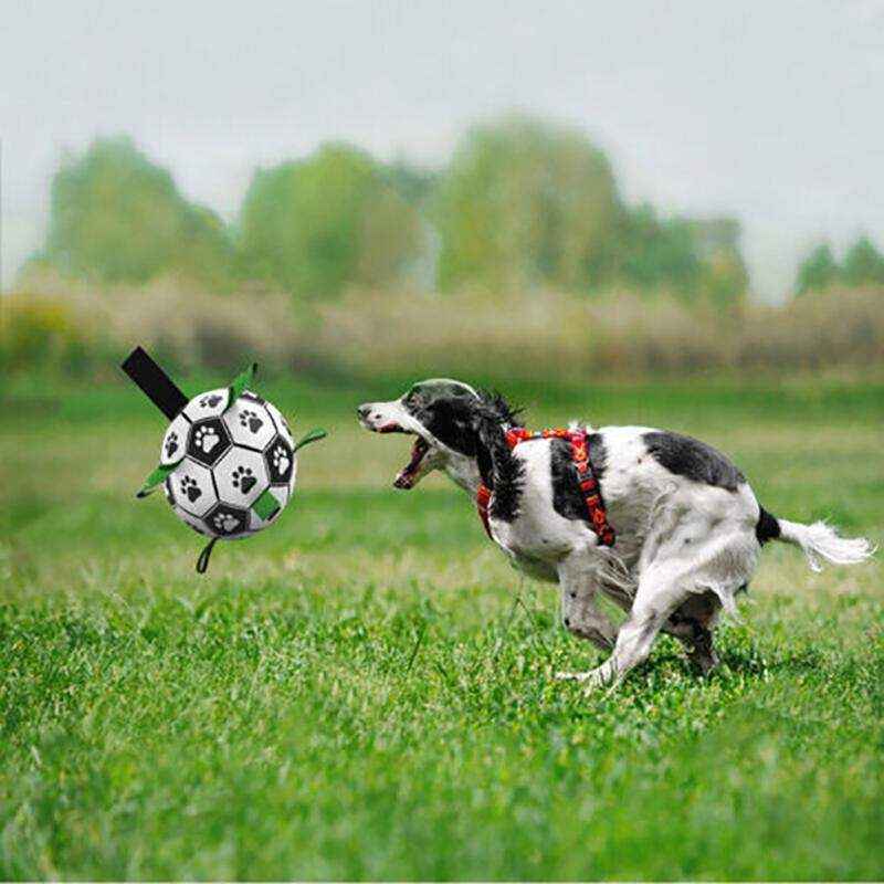 Interactive Dog Soccer Ball 15cm - Image 3