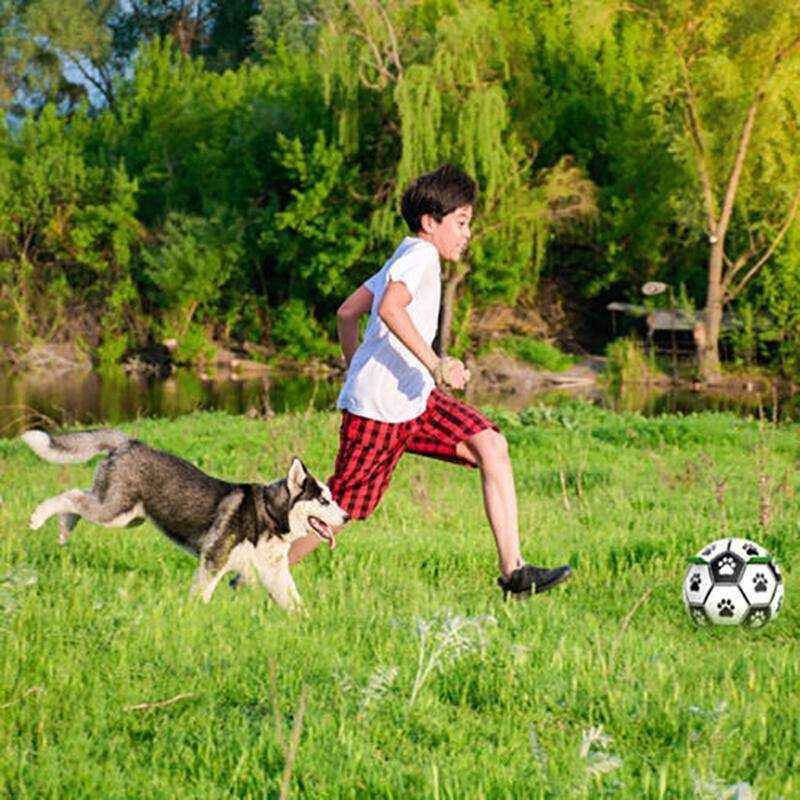Interactive Dog Soccer Ball 15cm - Image 4